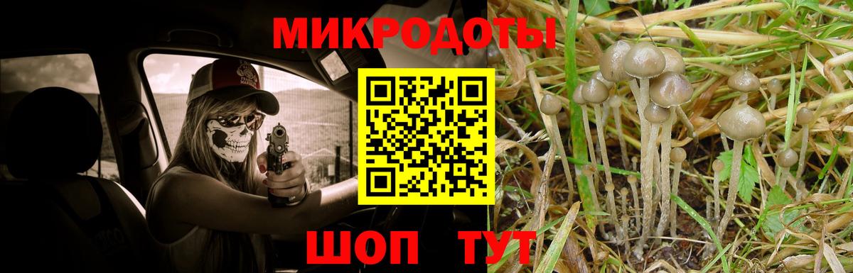 Галлюциногенные грибы Cubensis  Вход с VPN  купить наркоту  Татарск  Псилоцибиновые грибы GOLDEN TEACHER 